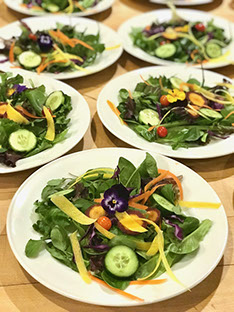 Organic Mixed Baby Greens Salad by Veganics Catering